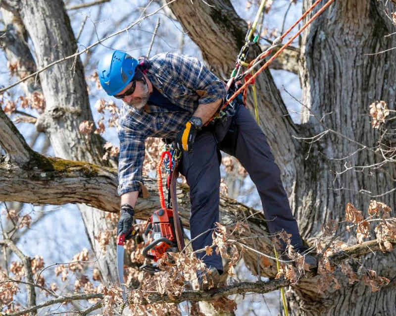 Arborists & Forestry safety helmets